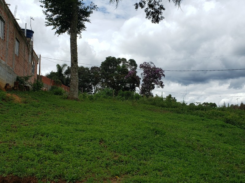 Lote em Cotia -  Caputera